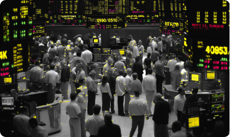 FII trading activity on capital market segment